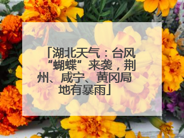 湖北天气：台风“蝴蝶”来袭，荆州、咸宁、黄冈局地有暴雨